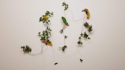 Nature Drawing Installation (2018)