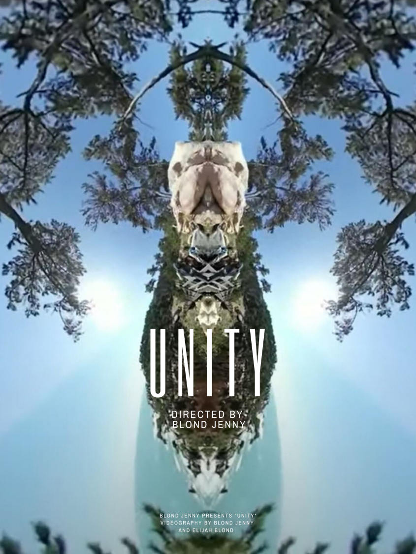 Unity (2020) 